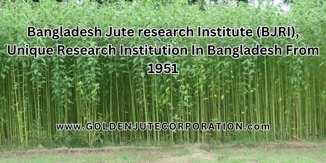 Bangladesh Jute research Institute (BJRI), Unique Research Institution In Bangladesh From 1951